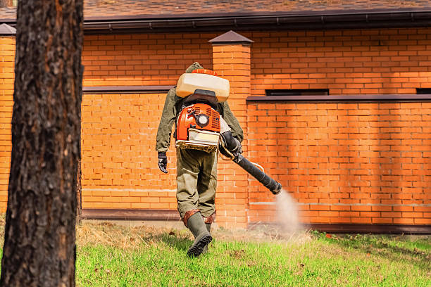Bed Bug Clearance Verification and Documentation in Fort Mohave